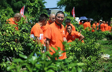 震驚：50元買一只紅蜘蛛？!——這一次，果農(nóng)們有話要說