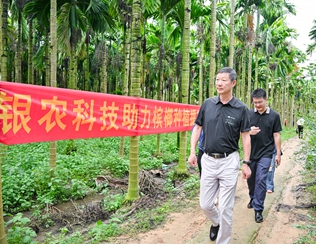 不斷創(chuàng)新納米農(nóng)藥，“銀農(nóng)三寶”助力檳榔提質(zhì)增收